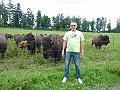Bild (4)